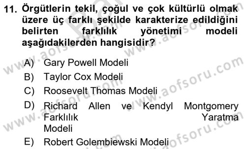 Ekip Yönetimi ve Liderlik Dersi 2024 - 2025 Yılı (Final) Dönem Sonu Sınav Soruları 11. Soru