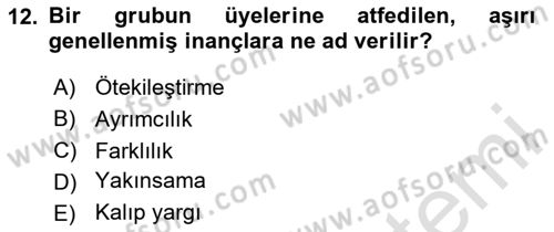 Ekip Yönetimi ve Liderlik Dersi 2024 - 2025 Yılı (Final) Dönem Sonu Sınav Soruları 12. Soru