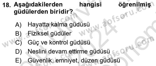 Ekip Yönetimi ve Liderlik Dersi 2024 - 2025 Yılı (Final) Dönem Sonu Sınav Soruları 18. Soru