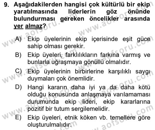 Ekip Yönetimi ve Liderlik Dersi 2024 - 2025 Yılı (Final) Dönem Sonu Sınav Soruları 9. Soru