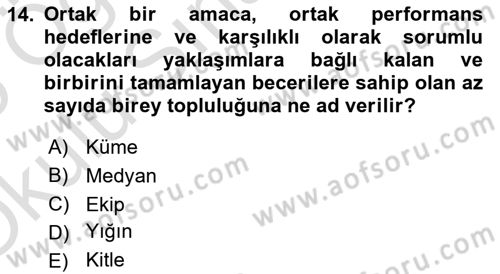 Ekip Yönetimi ve Liderlik Dersi Yaz Okulu Sınavı Deneme Sınav Soruları 14. Soru