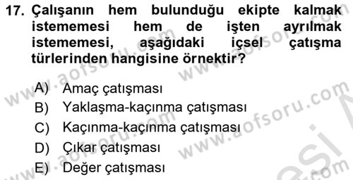 Ekip Yönetimi ve Liderlik Dersi Yaz Okulu Sınavı Deneme Sınav Soruları 17. Soru