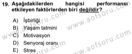 Ekip Yönetimi ve Liderlik Dersi 2024 - 2025 Yılı Yaz Okulu Sınav Soruları 19. Soru