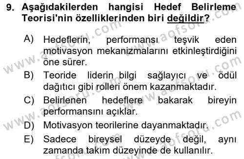 Ekip Yönetimi ve Liderlik Dersi Yaz Okulu Sınavı Deneme Sınav Soruları 9. Soru