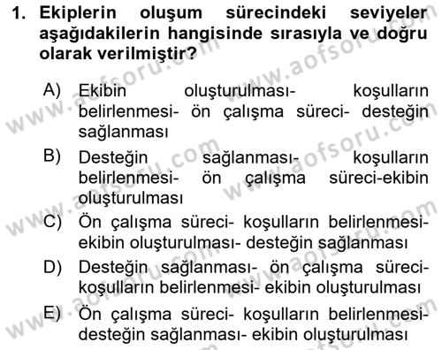 Ekip Yönetimi ve Liderlik Dersi 2025 - 2026 Yılı (Vize) Ara Sınav Soruları 1. Soru