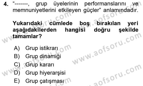 Ekip Yönetimi ve Liderlik Dersi 2025 - 2026 Yılı (Vize) Ara Sınav Soruları 4. Soru