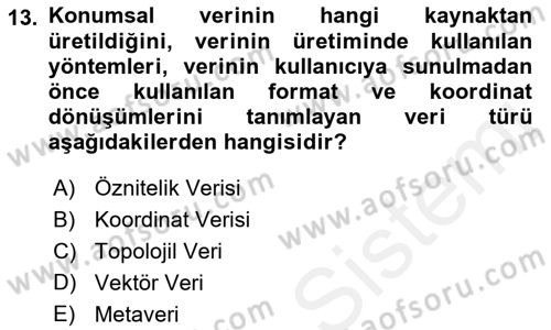 Coğrafi Bilgi Sistemlerine Giriş Dersi 2018 - 2019 Yılı (Final) Dönem Sonu Sınav Soruları 13. Soru