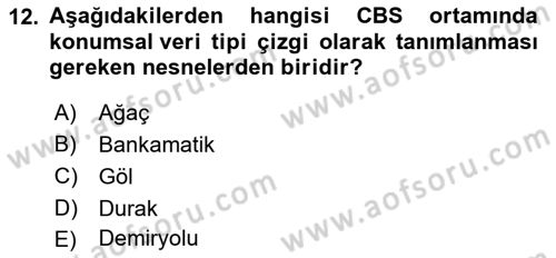 Coğrafi Bilgi Sistemlerine Giriş Dersi 2024 - 2025 Yılı (Vize) Ara Sınav Soruları 12. Soru
