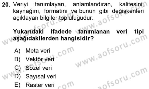 Coğrafi Bilgi Sistemlerine Giriş Dersi 2024 - 2025 Yılı (Vize) Ara Sınav Soruları 20. Soru