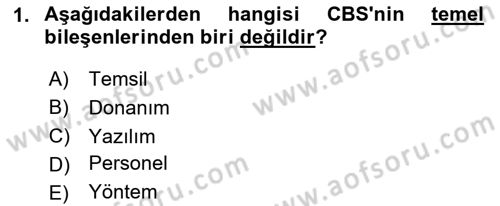 Coğrafi Bilgi Sistemlerine Giriş Dersi 2024 - 2025 Yılı Yaz Okulu Sınav Soruları 1. Soru
