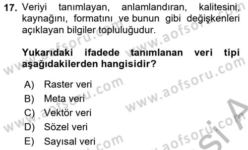 Coğrafi Bilgi Sistemlerine Giriş Dersi 2025 - 2026 Yılı (Vize) Ara Sınav Soruları 17. Soru