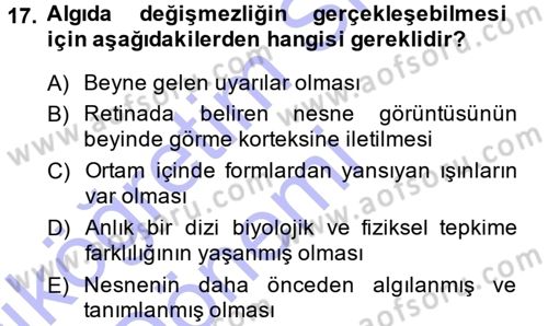Bilgisayar Destekli Temel Tasarım Dersi 2014 - 2015 Yılı (Vize) Ara Sınav Soruları 17. Soru