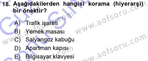 Bilgisayar Destekli Temel Tasarım Dersi 2015 - 2016 Yılı (Final) Dönem Sonu Sınav Soruları 18. Soru