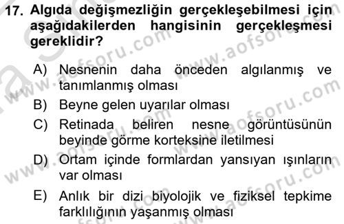 Bilgisayar Destekli Temel Tasarım Dersi 2021 - 2022 Yılı (Vize) Ara Sınav Soruları 17. Soru