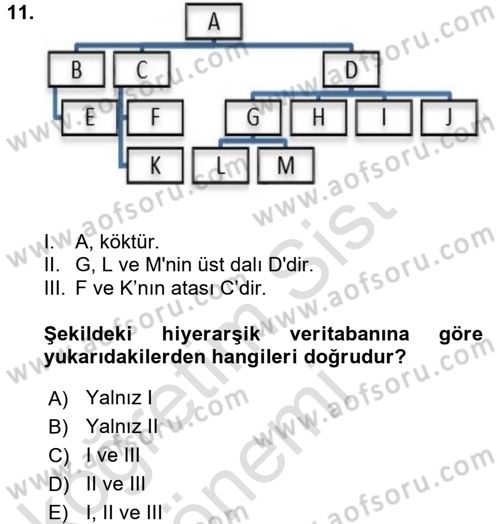 Konumsal Veritabanı 1 Dersi Ara Sınavı Deneme Sınav Soruları 11. Soru