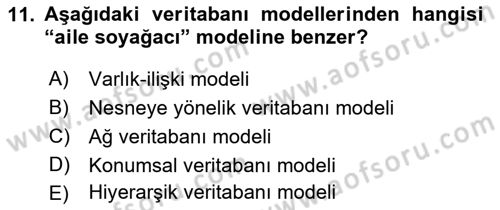 Konumsal Veritabanı 1 Dersi Ara Sınavı Deneme Sınav Soruları 11. Soru