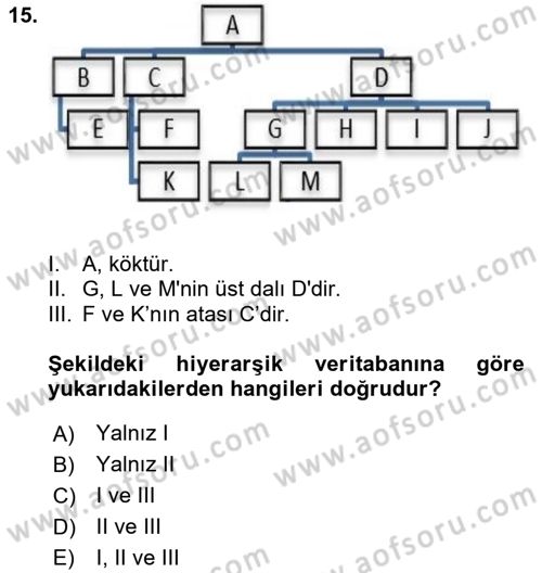 Konumsal Veritabanı 1 Dersi Ara Sınavı Deneme Sınav Soruları 15. Soru