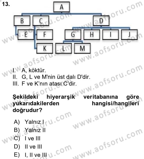 Konumsal Veritabanı 1 Dersi 2022 - 2023 Yılı (Vize) Ara Sınav Soruları 13. Soru
