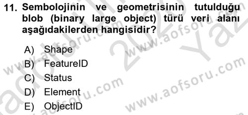 Konumsal Veritabanı 2 Dersi 2020 - 2021 Yılı Yaz Okulu Sınav Soruları 11. Soru