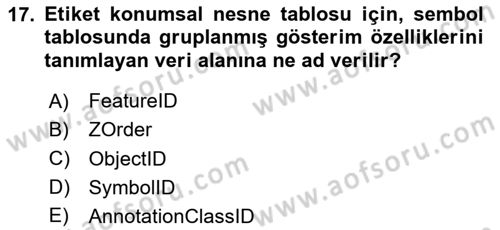 Konumsal Veritabanı 2 Dersi 2023 - 2024 Yılı (Vize) Ara Sınav Soruları 17. Soru
