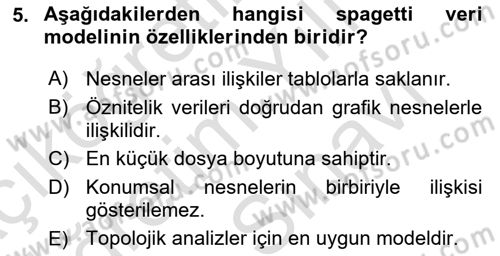 Konumsal Veritabanı 2 Dersi 2024 - 2025 Yılı (Vize) Ara Sınav Soruları 5. Soru