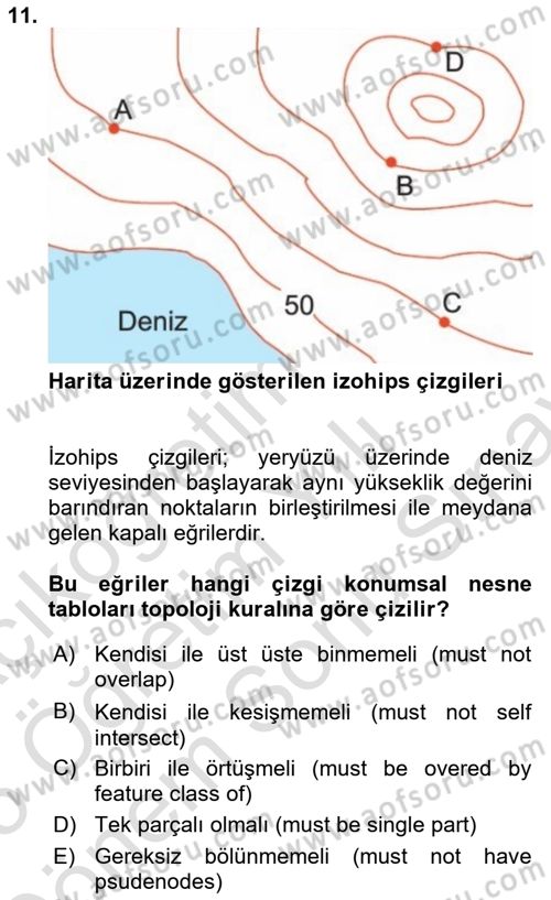 Konumsal Veritabanı 2 Dersi 2024 - 2025 Yılı (Final) Dönem Sonu Sınav Soruları 11. Soru