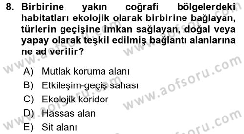 CBS Standartları ve Temel Mevzuat Dersi 2018 - 2019 Yılı 3 Ders Sınav Soruları 8. Soru