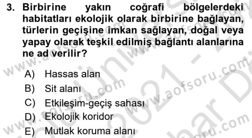 CBS Standartları ve Temel Mevzuat Dersi 2021 - 2022 Yılı (Vize) Ara Sınav Soruları 3. Soru