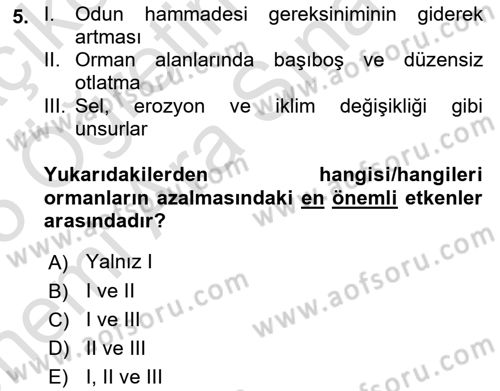 CBS Standartları ve Temel Mevzuat Dersi 2024 - 2025 Yılı (Vize) Ara Sınav Soruları 5. Soru