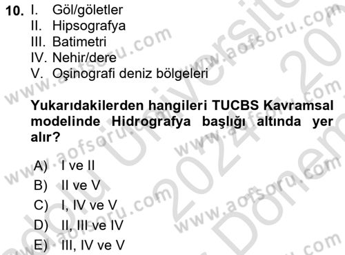 CBS Standartları ve Temel Mevzuat Dersi 2024 - 2025 Yılı (Final) Dönem Sonu Sınav Soruları 10. Soru