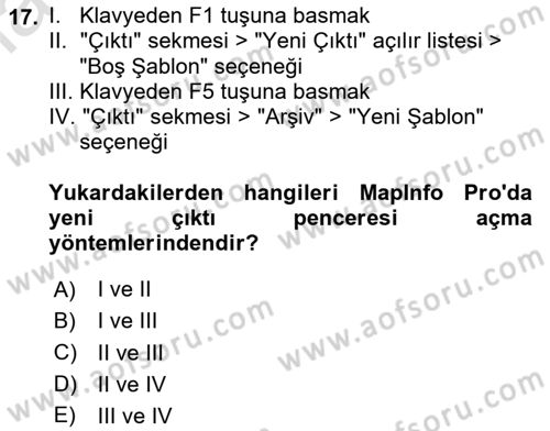 Coğrafi Bilgi Sistemleri Yazılımı Dersi 2020 - 2021 Yılı Yaz Okulu Sınav Soruları 17. Soru