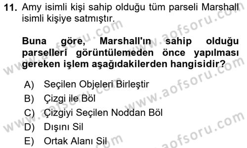 Coğrafi Bilgi Sistemleri Yazılımı Dersi 2024 - 2025 Yılı (Vize) Ara Sınav Soruları 11. Soru