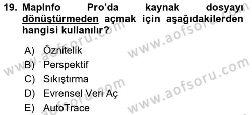 Coğrafi Bilgi Sistemleri Yazılımı Dersi 2024 - 2025 Yılı (Vize) Ara Sınav Soruları 19. Soru