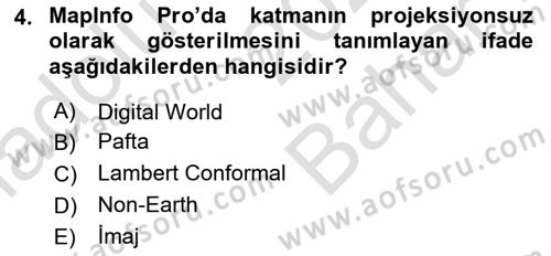 Coğrafi Bilgi Sistemleri Yazılımı Dersi 2024 - 2025 Yılı (Vize) Ara Sınav Soruları 4. Soru