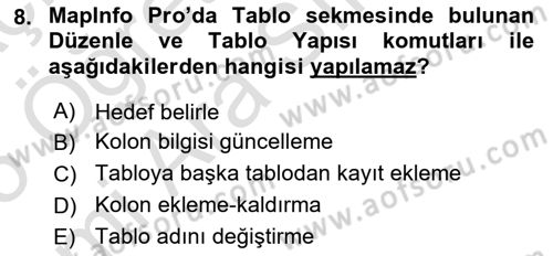 Coğrafi Bilgi Sistemleri Yazılımı Dersi 2024 - 2025 Yılı (Vize) Ara Sınav Soruları 8. Soru