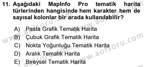 Coğrafi Bilgi Sistemleri Yazılımı Dersi 2024 - 2025 Yılı (Final) Dönem Sonu Sınav Soruları 11. Soru