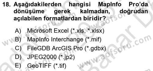 Coğrafi Bilgi Sistemleri Yazılımı Dersi 2025 - 2026 Yılı (Vize) Ara Sınav Soruları 18. Soru