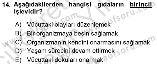 Coğrafi Bilgi Sistemlerinin Kullanım Alanları 1 Dersi 2023 - 2024 Yılı Yaz Okulu Sınav Soruları 14. Soru