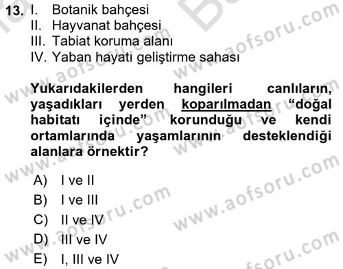 Coğrafi Bilgi Sistemlerinin Kullanım Alanları 1 Dersi 2024 - 2025 Yılı (Vize) Ara Sınav Soruları 13. Soru
