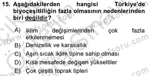 Coğrafi Bilgi Sistemlerinin Kullanım Alanları 1 Dersi 2024 - 2025 Yılı (Vize) Ara Sınav Soruları 15. Soru
