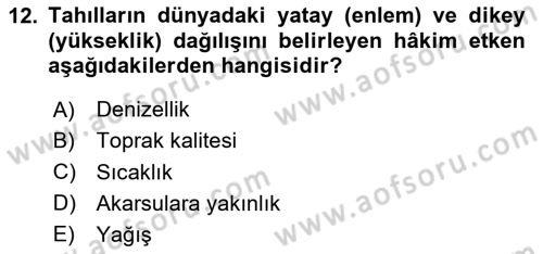 Coğrafi Bilgi Sistemlerinin Kullanım Alanları 1 Dersi 2024 - 2025 Yılı Yaz Okulu Sınav Soruları 12. Soru