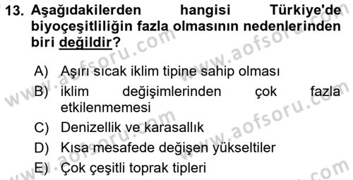 Coğrafi Bilgi Sistemlerinin Kullanım Alanları 1 Dersi 2025 - 2026 Yılı (Vize) Ara Sınav Soruları 13. Soru