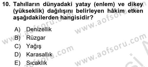 Coğrafi Bilgi Sistemlerinin Kullanım Alanları 1 Dersi 2025 - 2026 Yılı (Final) Dönem Sonu Sınav Soruları 10. Soru