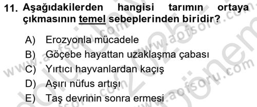 Coğrafi Bilgi Sistemlerinin Kullanım Alanları 1 Dersi 2025 - 2026 Yılı (Final) Dönem Sonu Sınav Soruları 11. Soru