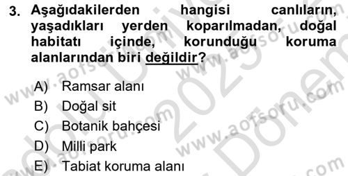 Coğrafi Bilgi Sistemlerinin Kullanım Alanları 1 Dersi 2025 - 2026 Yılı (Final) Dönem Sonu Sınav Soruları 3. Soru