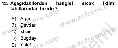 Coğrafi Bilgi Sistemlerinin Kullanım Alanları 1 Dersi 2025 - 2026 Yılı Yaz Okulu Sınav Soruları 12. Soru
