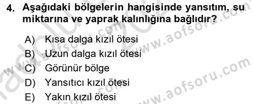 Uzaktan Algılama Dersi 2023 - 2024 Yılı (Vize) Ara Sınav Soruları 4. Soru
