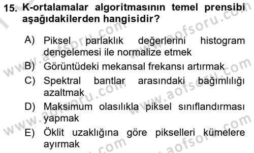 Uzaktan Algılama Dersi 2024 - 2025 Yılı (Final) Dönem Sonu Sınav Soruları 15. Soru
