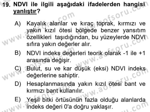 Uzaktan Algılama Dersi 2024 - 2025 Yılı (Final) Dönem Sonu Sınav Soruları 19. Soru