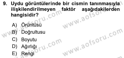 Uzaktan Algılama Dersi 2025 - 2026 Yılı (Final) Dönem Sonu Sınav Soruları 9. Soru